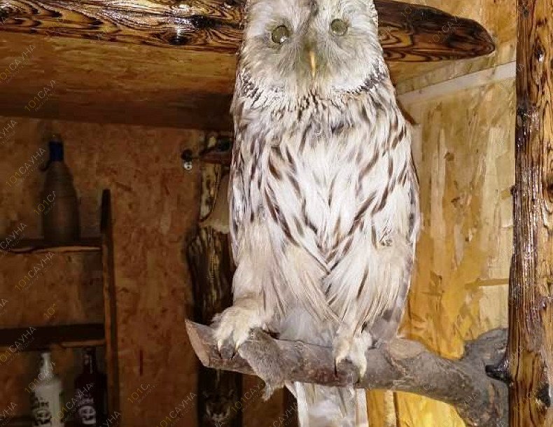 Комплекс Царская Охота, в Ижевске, Позимь, 2В | 9 | 1001sauna.com