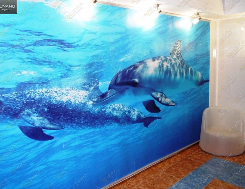 Сауна Дельфин в Поло74, в Челябинске, Энтузиастов, 11а | 9 | 1001sauna.com