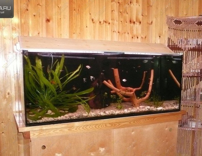 Русская баня на дровах На Шпаерской, в Курске, Шпаерская (Район областного ГАИ) | 7 | 1001sauna.com