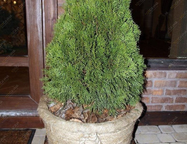 Баня на вилле Русская сказка, в Анапе, Московская, 55 | 5 | 1001sauna.com