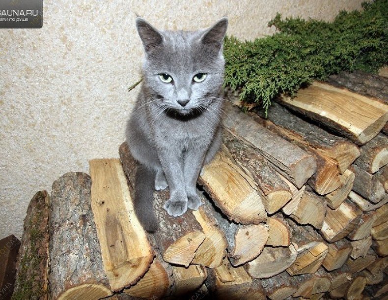 Баня на вилле Русская сказка, в Анапе, Московская, 55 | 22 | 1001sauna.com