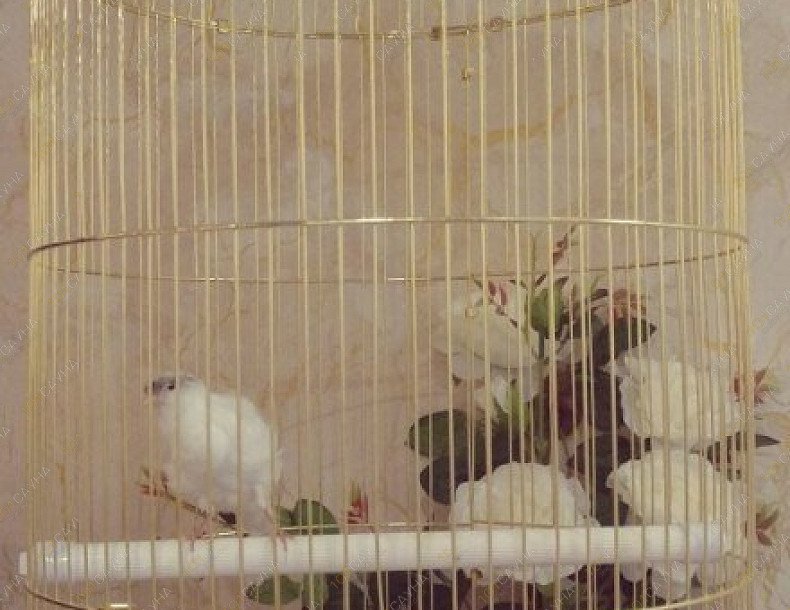 Сауна Адельфия, в Сочи, Просвещения, 13 | 5 | 1001sauna.com