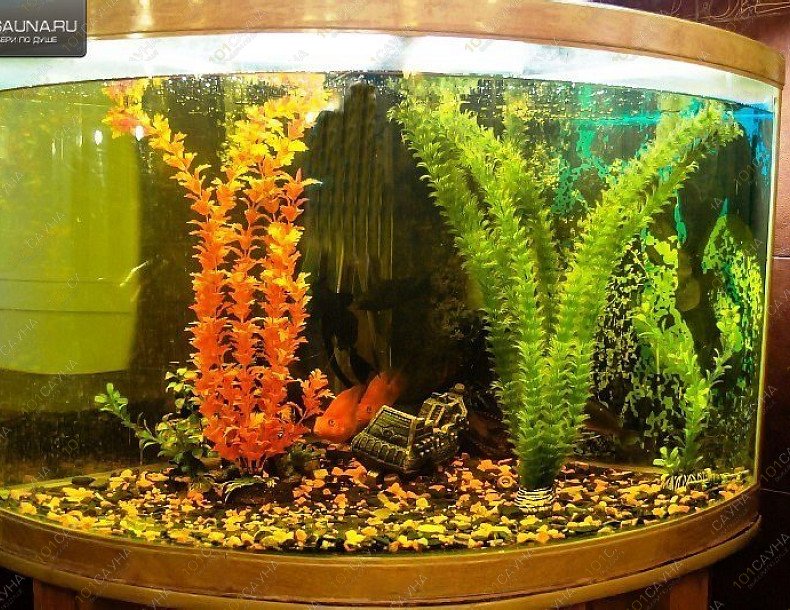 Баня в гостинице Меценат, в Оренбурге, Хлеборобная, 30 | 8 | 1001sauna.com