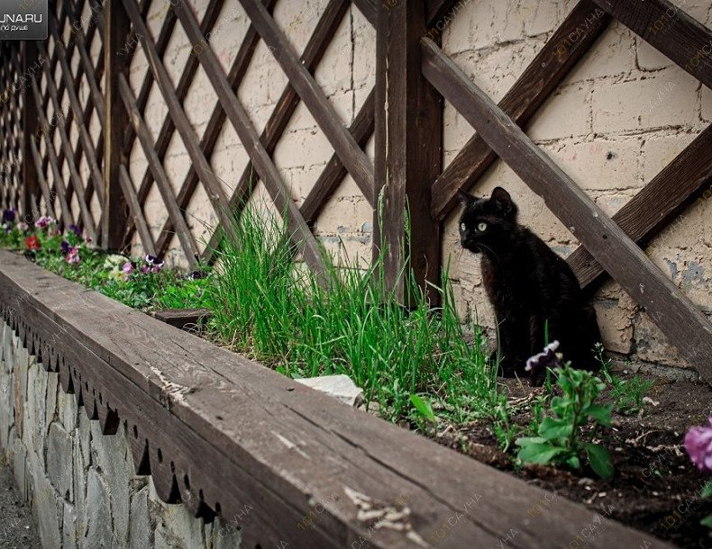 Сауна, Баня Народная Здравница, в Челябинске, улица Новороссийская, 140а | Народная здравница. Территория. Фото: 45 | 1001sauna.com