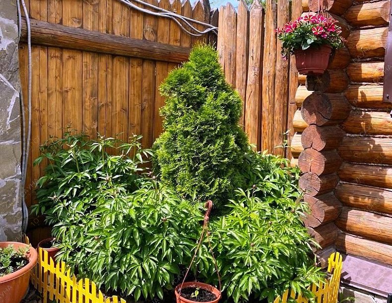 Бани Усадьба, в Орле, с. Плещеево, Береговая, 10г, | 14 | 1001sauna.com