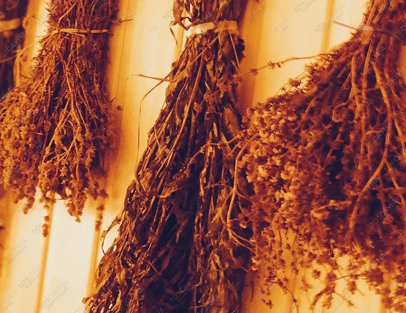 Бани в загородном клубе Water House, в Долгопрудном, Яблоневая 2 стр. 3 | 12 | 1001sauna.com