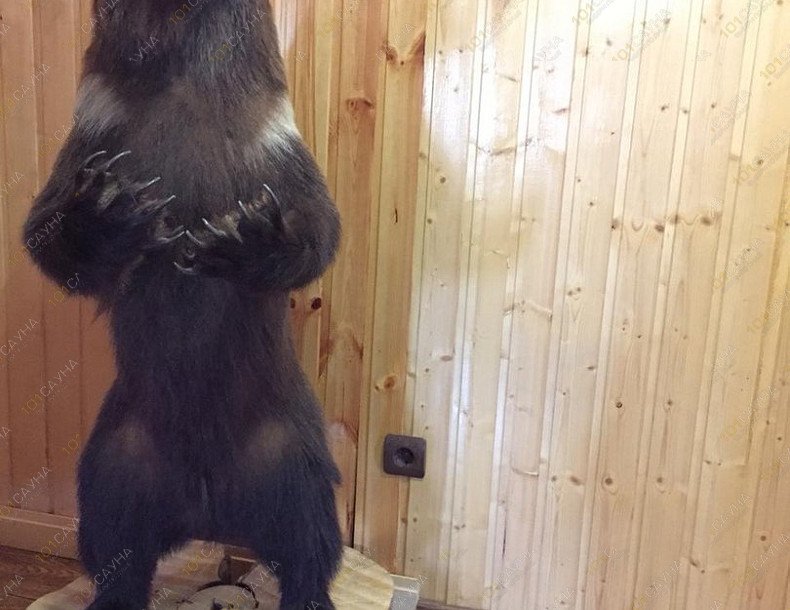 Гостевой дом Карелия, в Йошкар-Оле, г. Йошкар-Ола, ул. Советская, 47/14 | Интерьер | 1001sauna.com