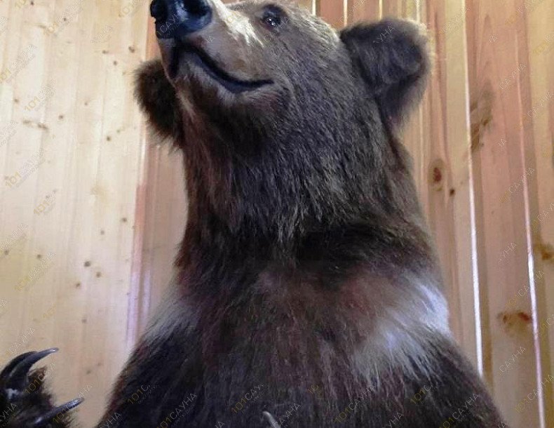 Гостевой дом Карелия, в Йошкар-Оле, г. Йошкар-Ола, ул. Советская, 47/14 | 13 | 1001sauna.com