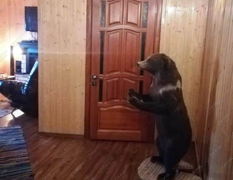 Гостевой дом Карелия, в Йошкар-Оле, г. Йошкар-Ола, ул. Советская, 47/14 | 18 | 1001sauna.com