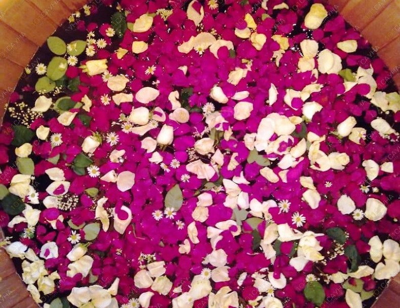 Банный комплекс Имение Спасское, в Москве, Московская область, Ленинский район, СНТ Спаские Выселки | 23 | 1001sauna.com