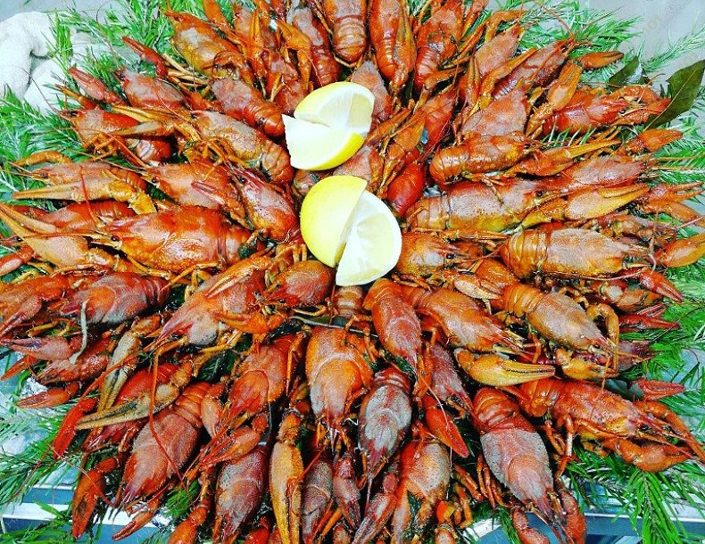 Банный комплекс Имение Спасское, в Москве, Московская область, Ленинский район, СНТ Спаские Выселки | 28 | 1001sauna.com