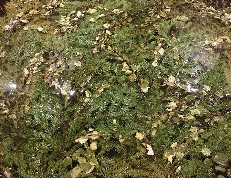 Банный комплекс Имение Спасское, в Москве, Московская область, Ленинский район, СНТ Спаские Выселки | 39 | 1001sauna.com