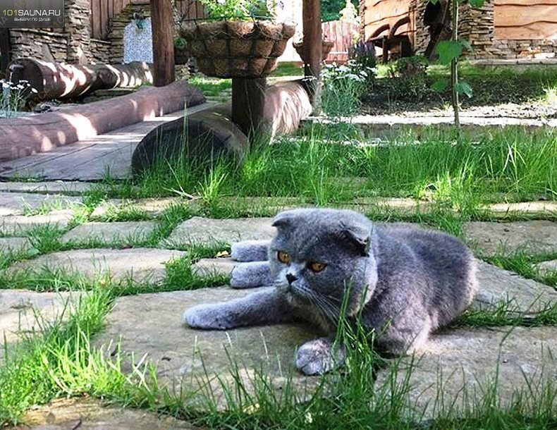 Баня на Красной поляне Маджи, в Красной Поляне, Эсто-Садок, ул. Дубравная, 52 | 14 | 1001sauna.com