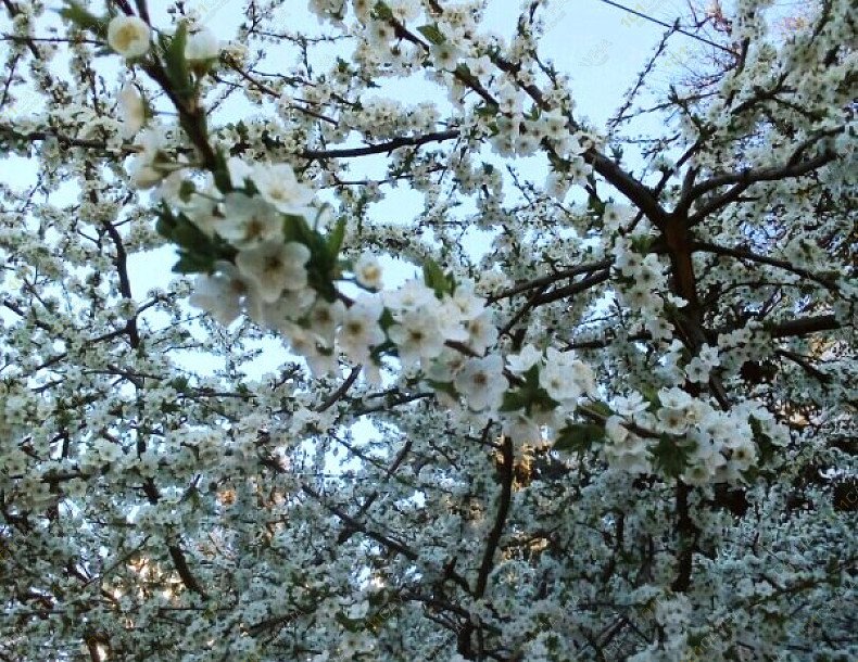 Баня в коттедже Теремок, в Туле, Харино, улица Южная, 26 | 10 | 1001sauna.com