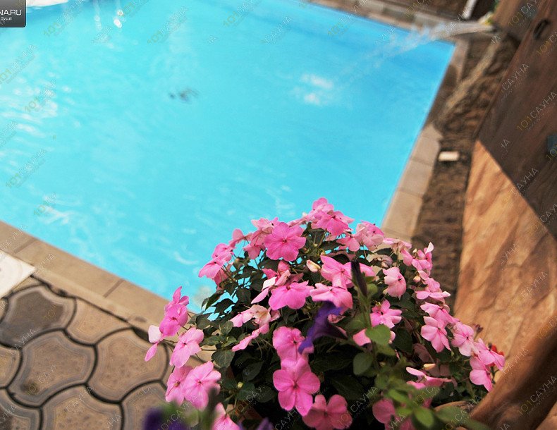 Сауны в СПА отеле Максимус, в Анапе, Самбурова, 12 | бассейн интерьер | 1001sauna.com