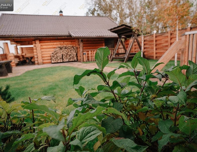 Парные на Енисее Кедровый Берег, в Красноярске, Парковая 20/1 | БОБРОВАЯ ХАТКА. Фото: 104 | 1001sauna.com