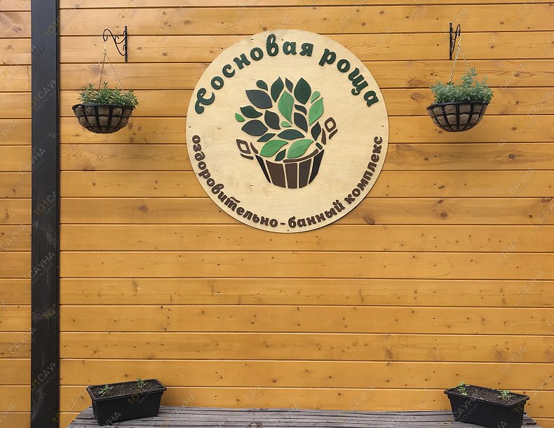 Русская баня на дровах Сосновая роща, в Йошкар-Оле, Героев Сталинградской Битвы, 100а | Наша территория  | 1001sauna.com