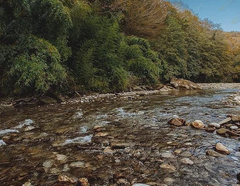 Сауна Приют уставшего Снебурашки, в Сочи, Сочи, Пос. Кудепста, Заречная, 1/2А | 10 | 1001sauna.com