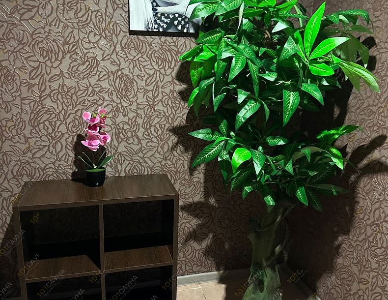 Сауна Семь пятниц, в Хабаровске, Лермонтова, 13 | 3 | 1001sauna.com