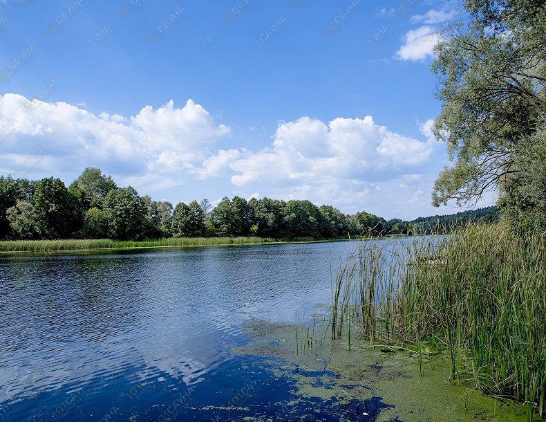 Банька в Жадино, в Курске, с. Жадино, Кореневского района Курской области | Вид с пирса | 1001sauna.com