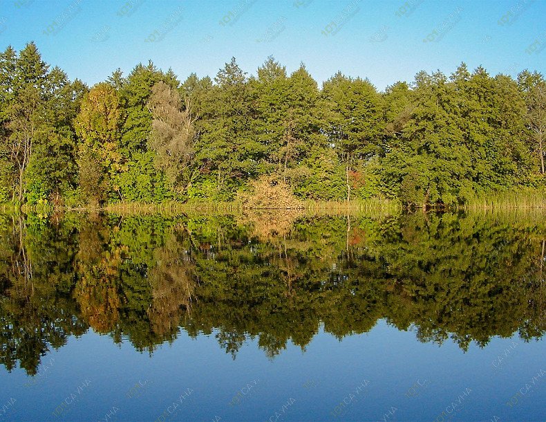 Банька в Жадино, в Курске, с. Жадино, Кореневского района Курской области | Вид из бани | 1001sauna.com