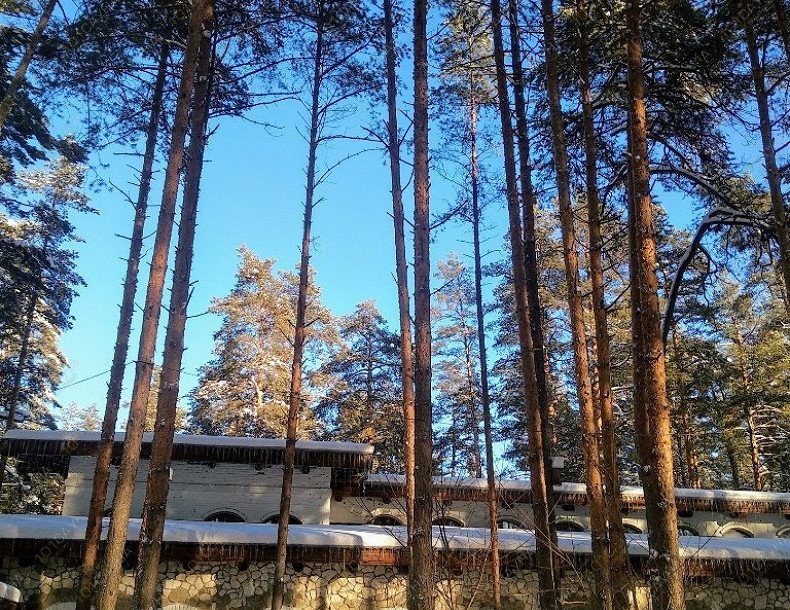 Wellness & Spa Усадьба мещерская, в Гусь-Хрустальном, ул. Интернациональная, д. 105 | 43 | 1001sauna.com