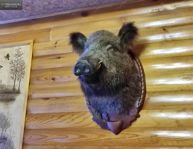 Сауна Финский пар, в Челябинске, ​Юбилейный​, 40-летия Октября, 31а | Сауна 8. Фото 14 | 1001sauna.com