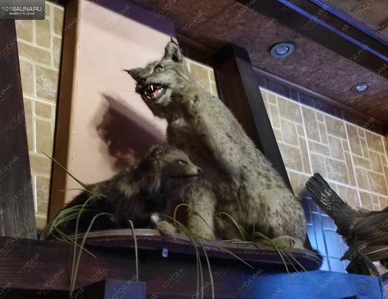 Сауна Финский пар, в Челябинске, ​Юбилейный​, 40-летия Октября, 31а | Сауна 8. Фото 15 | 1001sauna.com