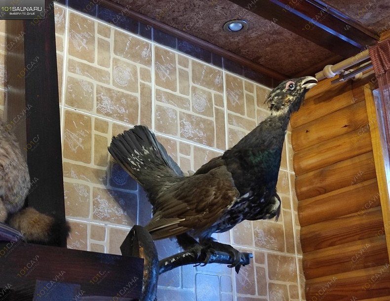 Сауна Финский пар, в Челябинске, ​Юбилейный​, 40-летия Октября, 31а | Сауна 8. Фото 16 | 1001sauna.com