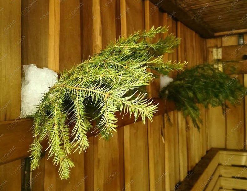 Общественные бани Царицынские бани, в Москве, Луганская, 10 | 16 | 1001sauna.com