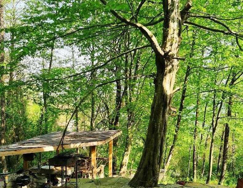 Баня в лесу в Высоком, в Сочи, Село Высокое,  Улица - снт Высокое,  дом 162 | 8 | 1001sauna.com