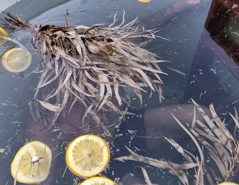 Русская баня Банный клуб PARAGRAF, в Санкт-Петербурге, д. Корабсельки, ул. Центральная, 44 | Купель | 1001sauna.com