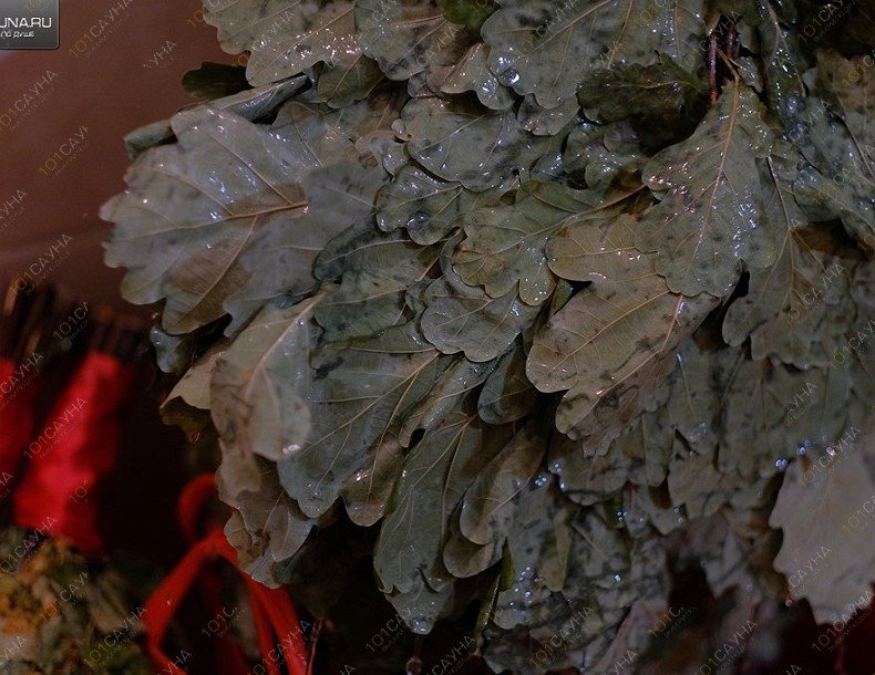 Спа-студия Сауна ТОР, в Смоленске, Крупской, 64А | 11 | 1001sauna.com