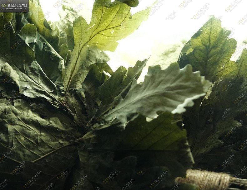 Общественные бани Уральские бани, в Екатеринбурге, ул. Луначарского, дом 31 | 9 | 1001sauna.com