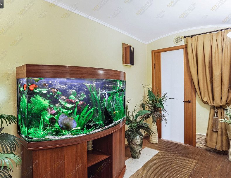 Сауна Клуб Морской, в Москве, Ленинградский проспект, 23 | зона релакса | 1001sauna.com