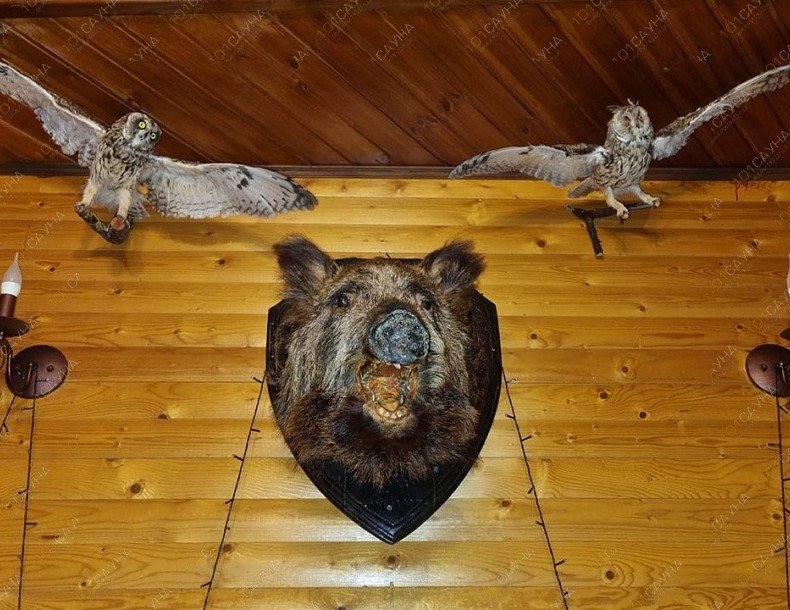 Сауна Фазан, в Ростове-на-Дону, улица Седова дом 31 | Интерьер. Фото 22 | 1001sauna.com