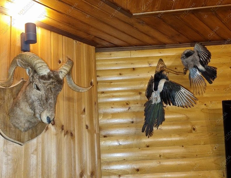 Сауна Фазан, в Ростове-на-Дону, улица Седова дом 31 | Интерьер. Фото 24 | 1001sauna.com