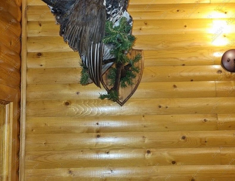 Сауна Фазан, в Ростове-на-Дону, улица Седова дом 31 | Интерьер. Фото 28 | 1001sauna.com