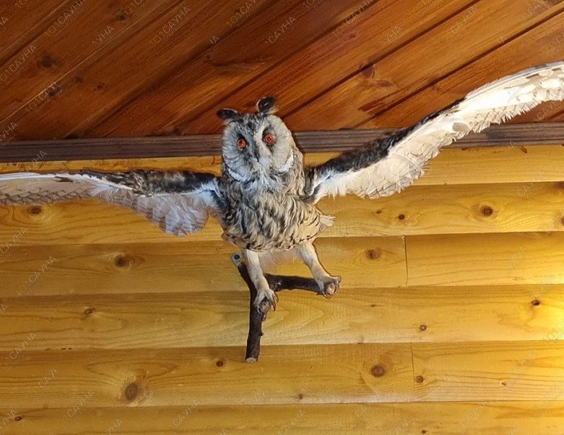 Сауна Фазан, в Ростове-на-Дону, улица Седова дом 31 | Интерьер. Фото 29 | 1001sauna.com