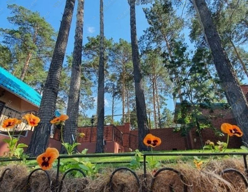 Банный комплекс в Кудряшовском бору, в Новосибирске, Новая заря, 4 | 9 | 1001sauna.com