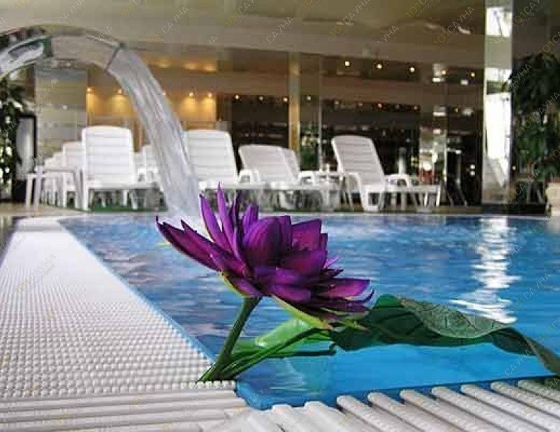 Spa-Центр Лотос, в Сочи, Курортный проспект, 72 | 2 | 1001sauna.com