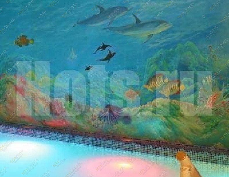 Сауна Оазис, в Барнауле, Ленина проспект, 163 | 4 | 1001sauna.com