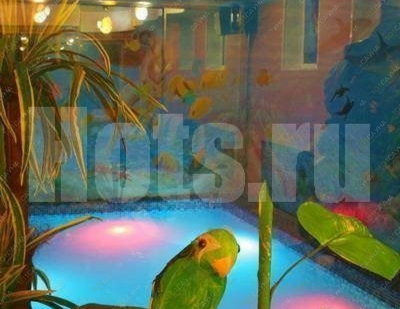 Сауна Оазис, в Барнауле, Ленина проспект, 163 | 7 | 1001sauna.com