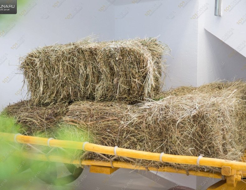 Сауны и бани Жар и Пар, в Нижневартовске, п.г.т. Излучинск, ул. Пионерная 16 | Сауна Жар и Пар в Нижневартовске. Фото: 53 | 1001sauna.com