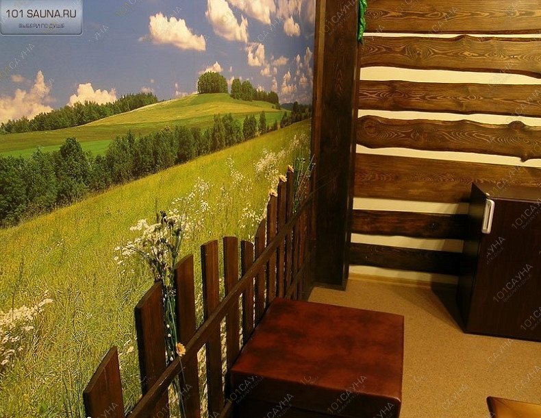 Баня Бэтри, в Челябинске, Художника Русакова, 7в | 3 | 1001sauna.com