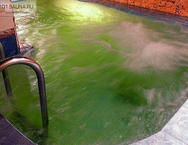 Оздоровительный Центр Леда, в Москве, Куусинена, 19а | 4 | 1001sauna.com