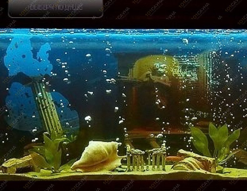 Сауна Максима, в Москве, Перерва, 52 ст1  | 3 | 1001sauna.com