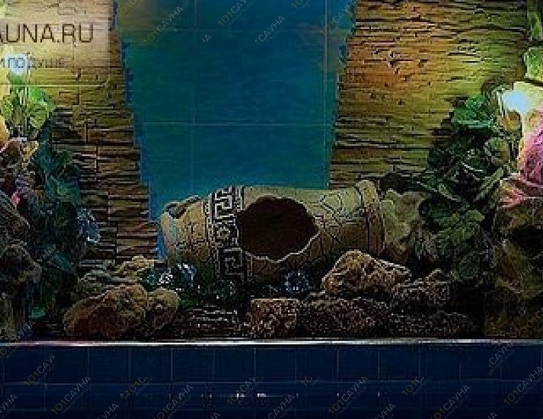 Сауна Максима, в Москве, Перерва, 52 ст1  | 4 | 1001sauna.com