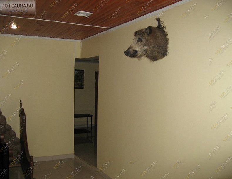 Сауна Посейдон, в Москве, Старый Гай, 8а | 20 | 1001sauna.com