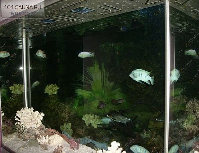 Сауна Релакс-центр, в Москве, Ленинградский проспект, 39 | 10 | 1001sauna.com